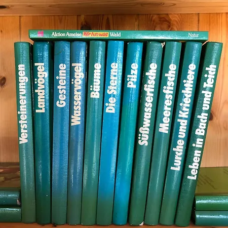 An Der Agger Holiday home *