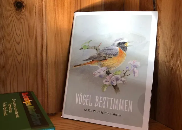 An Der Agger Vakantiehuis *